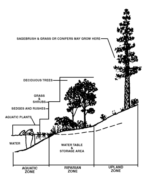 Riparian Boundaries