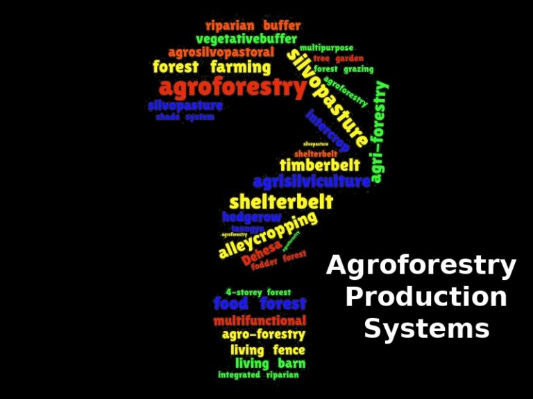 Agroforestry Production Systems