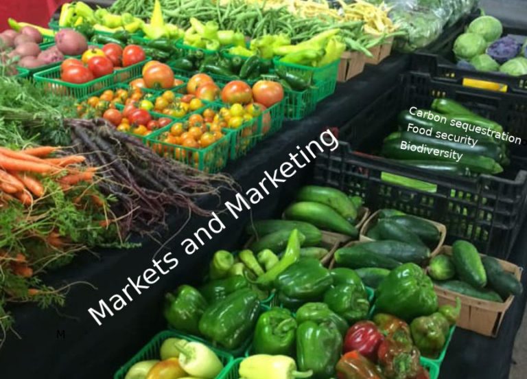 Agroforestry Markets and Marketing