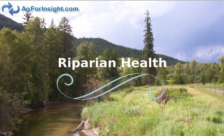 Riparian Health