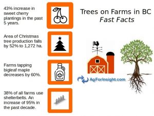 Trees on Farms Infographic
